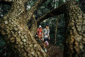 BIB: 
                            <button type="button" onclick="openModal(25702087)" class="btn btn-primary btn-sm float-right btn-popup" data-toggle="modal" data-target=".modal-high-quality">
                        <i class="fas fa-shopping-cart"></i> Add to Cart
                    </button>
                                            <button type="button" onclick="isThisMe(25702087, true)" class="btn btn-success btn-sm float-right btn-popup btn-isme hidden" data-toggle="tooltip" data-placement="bottom" title="นี่คือรูปของคุณใช่ไหม คลิกที่นี่เพื่อเอาเข้าอัลบั้ม">
                        <i class="fas fa-plus"></i> Add to album
                    </button>
                    <button type="button" onclick="isThisMe(25702087, false)" class="btn btn-warning btn-sm float-right btn-popup btn-isnotme hidden">
                        <i class="fas fa-ban"></i> Remove from album
                    </button>